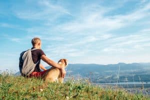 où promener son chien l'été ?