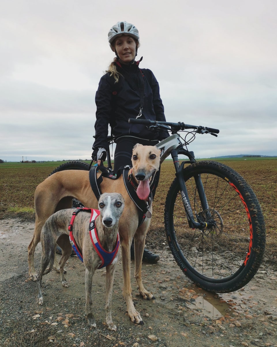 Cani VTT : le guide pour bien débuter - Conseils Régal