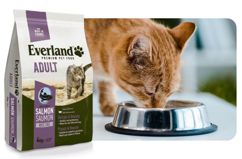 Nourrissez l'aventure ! Croquettes pour chats et chiens EVERLAND