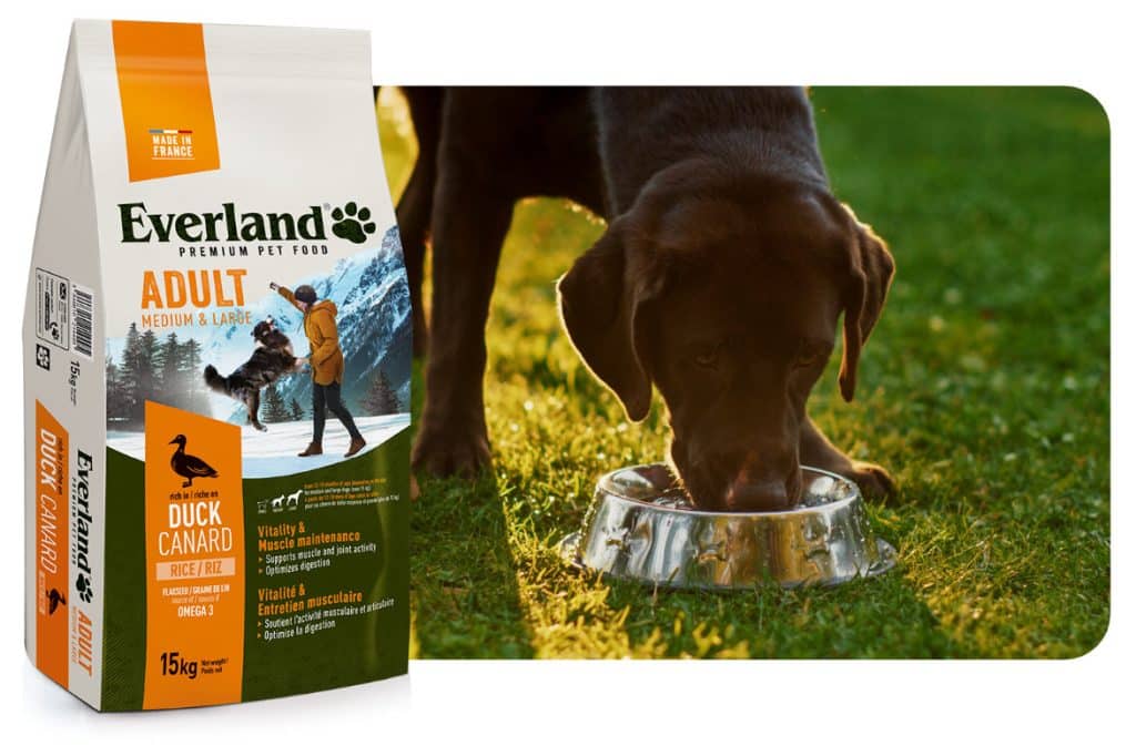 Nourrissez l'aventure ! Croquettes pour chats et chiens EVERLAND