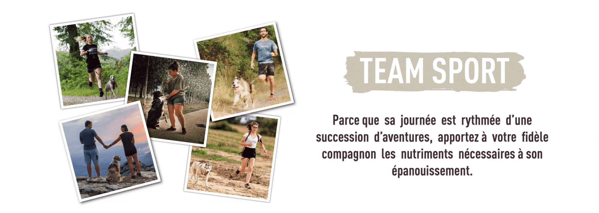 Nourrissez l'aventure ! Croquettes pour chats et chiens EVERLAND